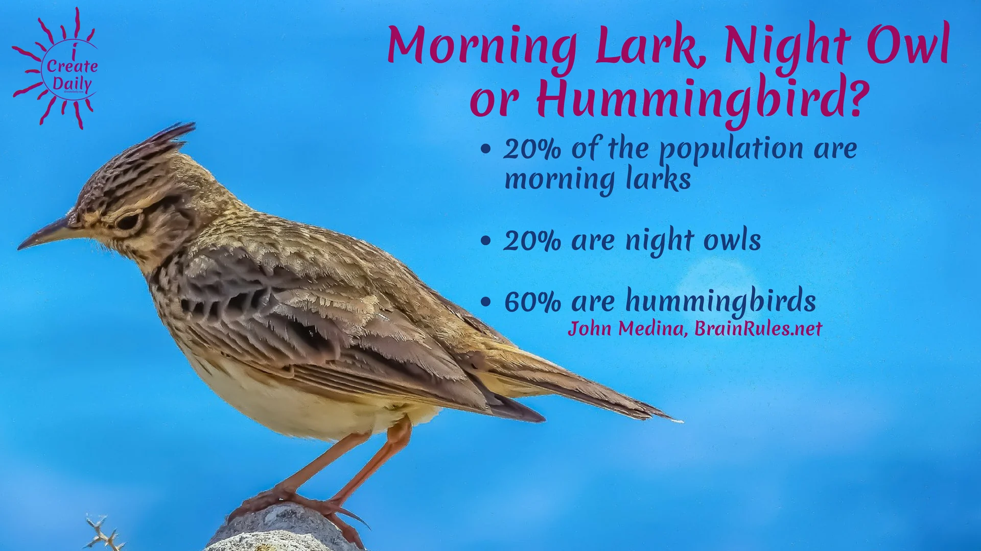 ARE YOU A MORNING PERSON OR NIGHT OWL?
Morning Person or Night Owl? 60% of the population are hummingbirds. What?!? That's a new one! #MorningLark #NightOwl #Hummingbird #MostCreativeTime #GoalSetting #DailyGoals #MorningRoutine #WakeUpEarly