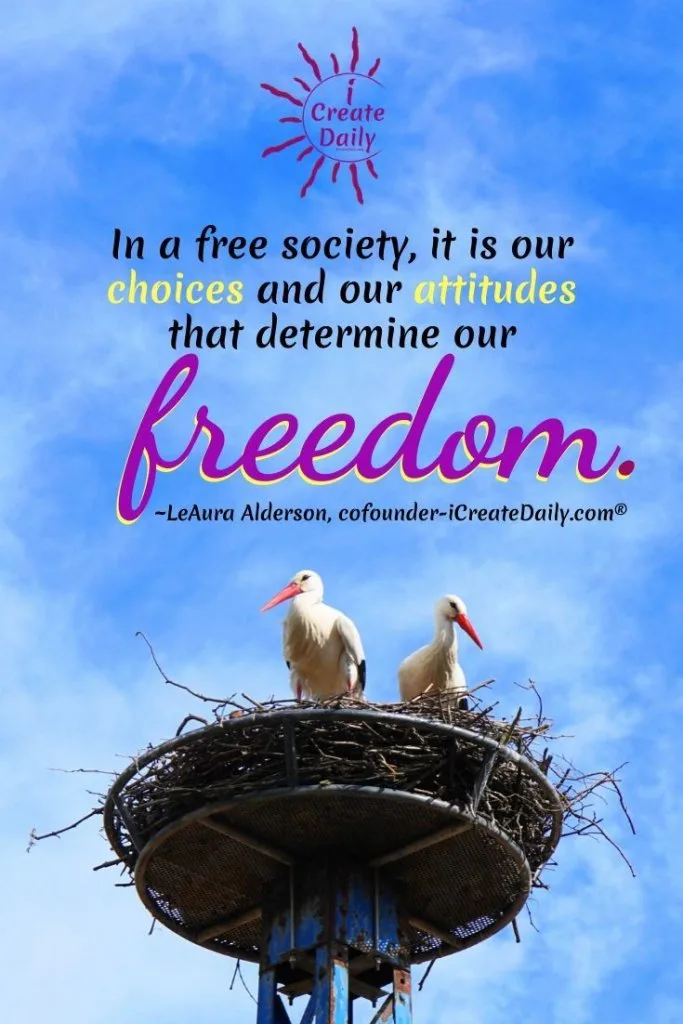 "In a free society, it is our choices—and our attitudes—that determine our freedom."
~LeAura Alderson, iCreateDaily.com® #FreeSociety #Choices #AttitudeQuote #ChoiceQuote #FreedomQuote