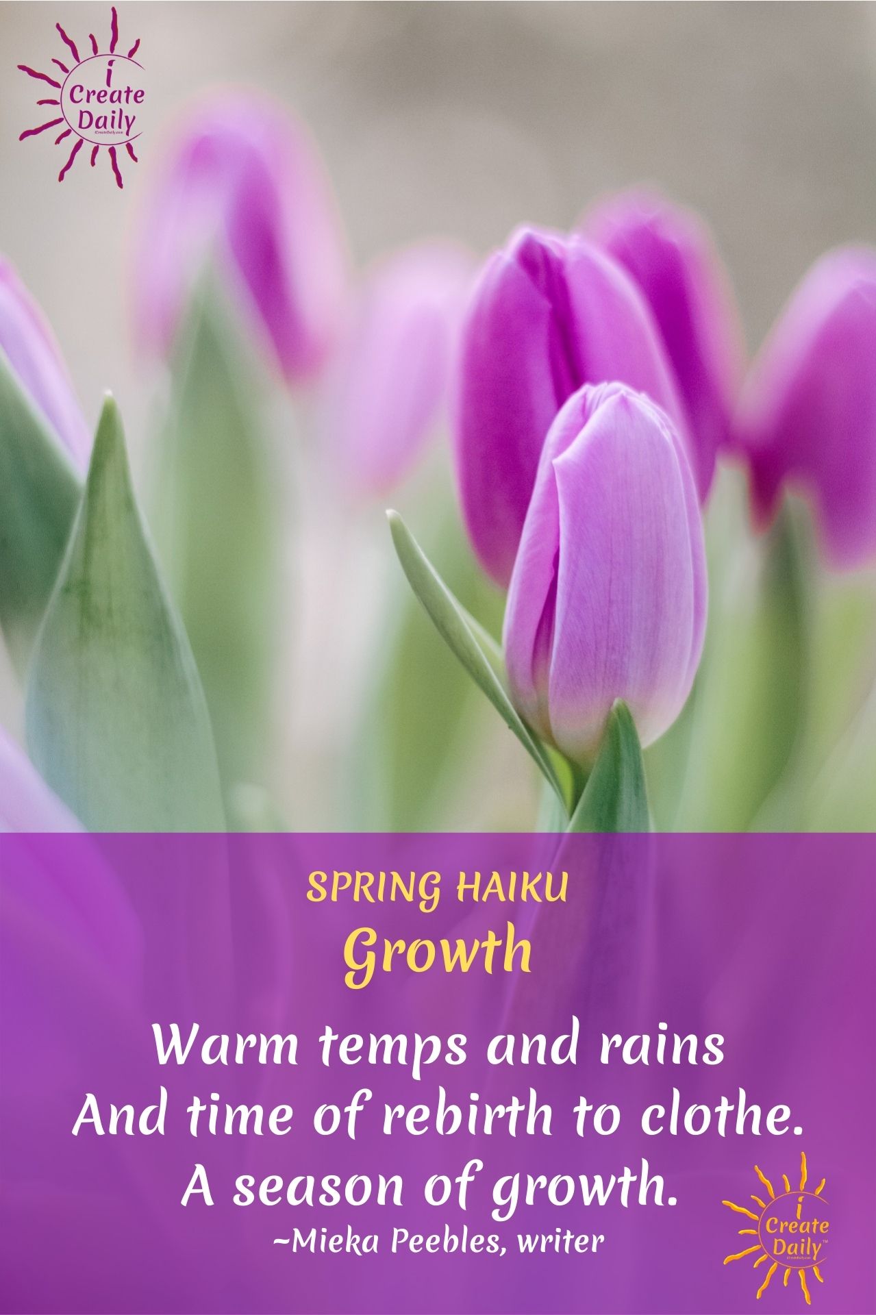 Spring Haiku Poems to Put a Spring in Your Step - iCreateDaily