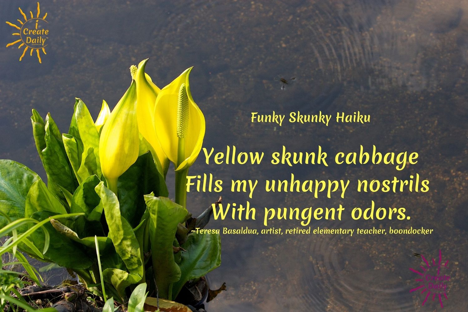 Spring Haiku Poems to Put a Spring in Your Step iCreateDaily