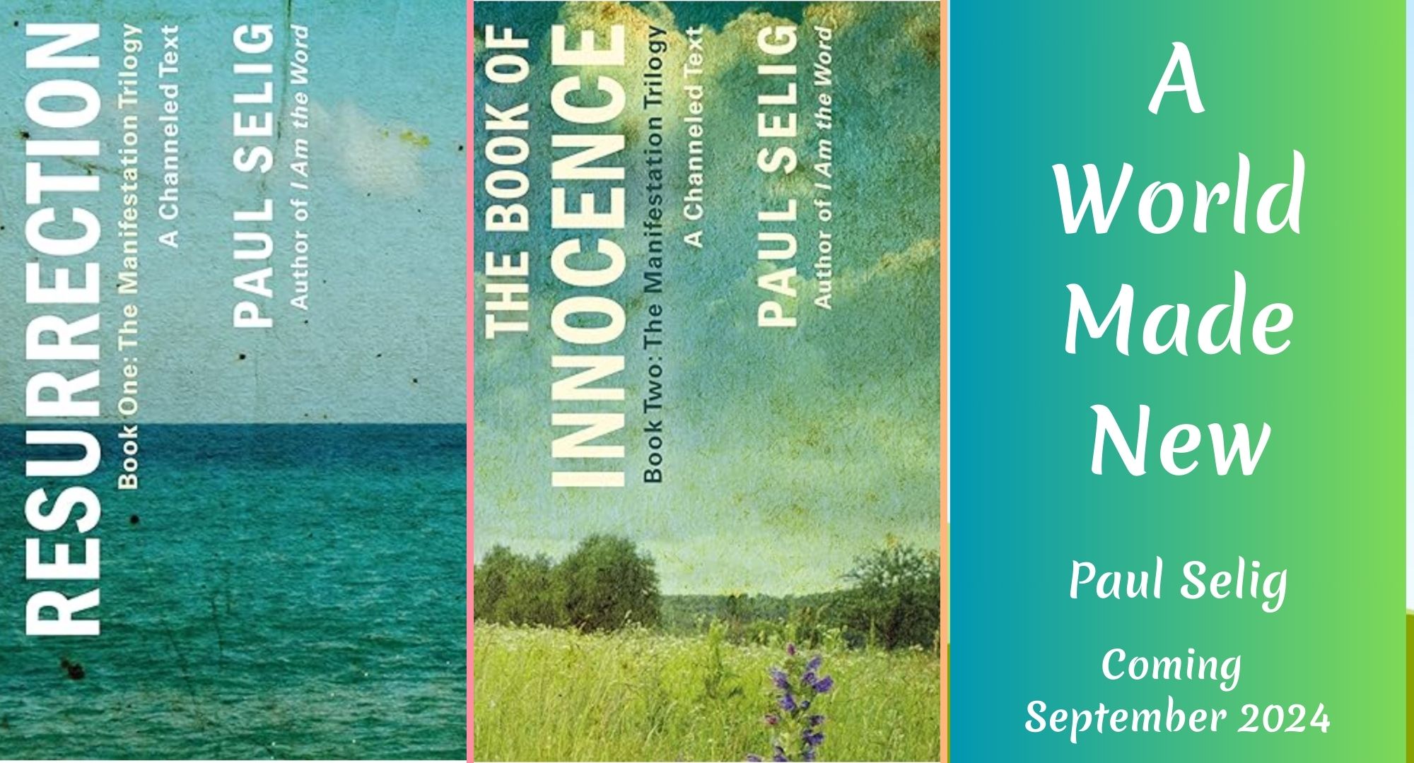 List of Paul Selig Books in Order of Publication iCreateDaily